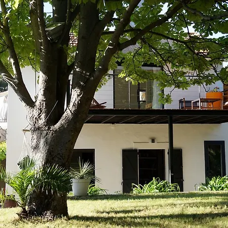 Bed & Breakfast D'hotes Clos Du Petit Jesus Cassis