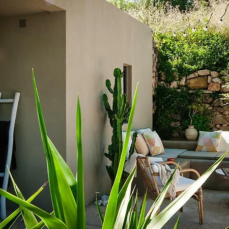 D'hotes Clos Du Petit Jesus Bed & Breakfast Cassis